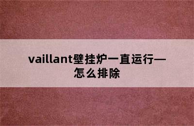 vaillant壁挂炉一直运行—怎么排除