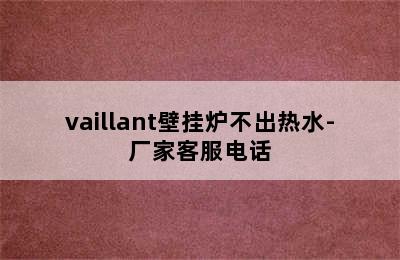 vaillant壁挂炉不出热水-厂家客服电话