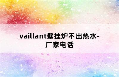 vaillant壁挂炉不出热水-厂家电话