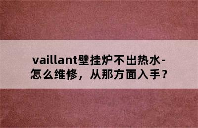 vaillant壁挂炉不出热水-怎么维修，从那方面入手？