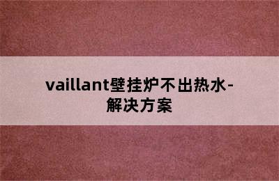 vaillant壁挂炉不出热水-解决方案