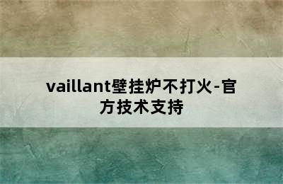 vaillant壁挂炉不打火-官方技术支持