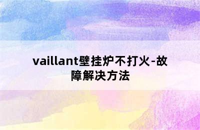 vaillant壁挂炉不打火-故障解决方法