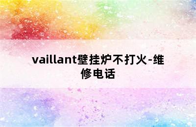 vaillant壁挂炉不打火-维修电话