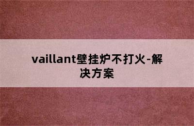 vaillant壁挂炉不打火-解决方案