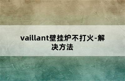 vaillant壁挂炉不打火-解决方法