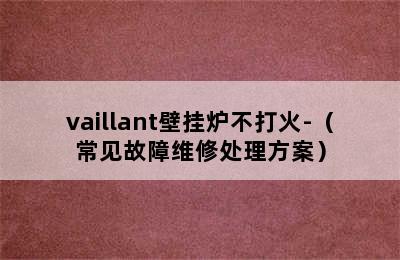 vaillant壁挂炉不打火-（常见故障维修处理方案）