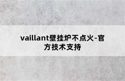 vaillant壁挂炉不点火-官方技术支持