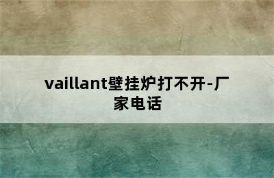 vaillant壁挂炉打不开-厂家电话