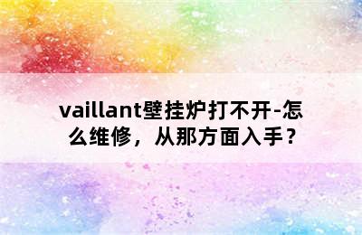 vaillant壁挂炉打不开-怎么维修，从那方面入手？