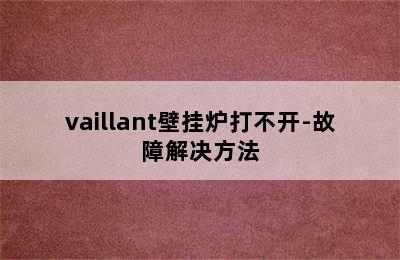 vaillant壁挂炉打不开-故障解决方法