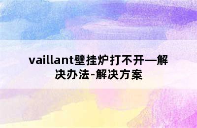 vaillant壁挂炉打不开—解决办法-解决方案