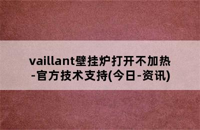 vaillant壁挂炉打开不加热-官方技术支持(今日-资讯)