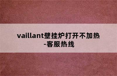 vaillant壁挂炉打开不加热-客服热线