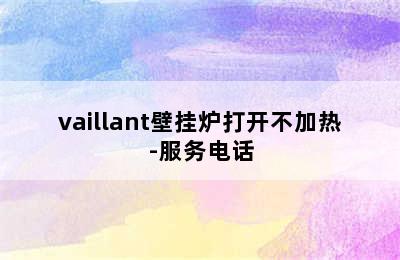 vaillant壁挂炉打开不加热-服务电话