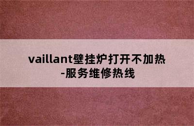 vaillant壁挂炉打开不加热-服务维修热线