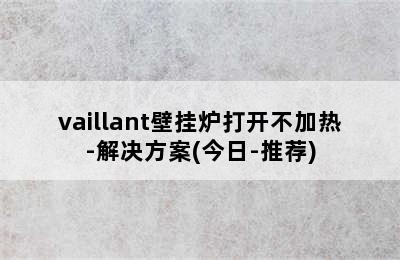 vaillant壁挂炉打开不加热-解决方案(今日-推荐)