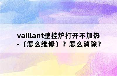 vaillant壁挂炉打开不加热-（怎么维修）？怎么消除？