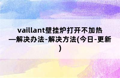 vaillant壁挂炉打开不加热—解决办法-解决方法(今日-更新)