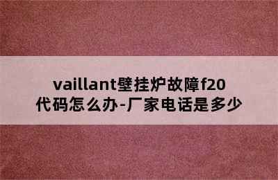 vaillant壁挂炉故障f20代码怎么办-厂家电话是多少