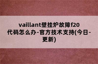 vaillant壁挂炉故障f20代码怎么办-官方技术支持(今日-更新)