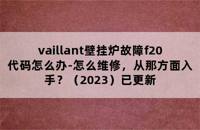 vaillant壁挂炉故障f20代码怎么办-怎么维修，从那方面入手？（2023）已更新