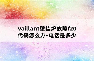 vaillant壁挂炉故障f20代码怎么办-电话是多少