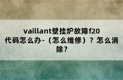 vaillant壁挂炉故障f20代码怎么办-（怎么维修）？怎么消除？