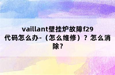 vaillant壁挂炉故障f29代码怎么办-（怎么维修）？怎么消除？