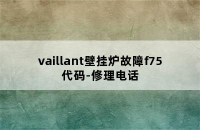 vaillant壁挂炉故障f75代码-修理电话