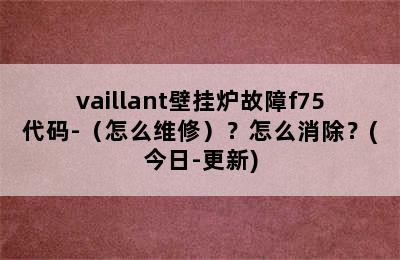 vaillant壁挂炉故障f75代码-（怎么维修）？怎么消除？(今日-更新)