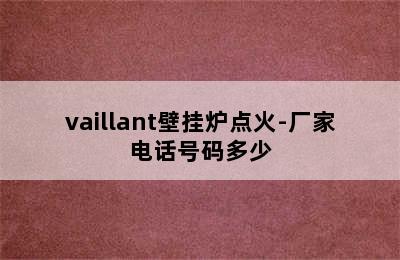 vaillant壁挂炉点火-厂家电话号码多少