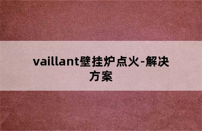 vaillant壁挂炉点火-解决方案