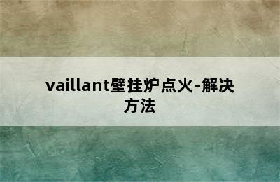 vaillant壁挂炉点火-解决方法