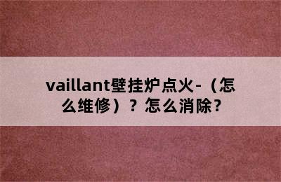 vaillant壁挂炉点火-（怎么维修）？怎么消除？