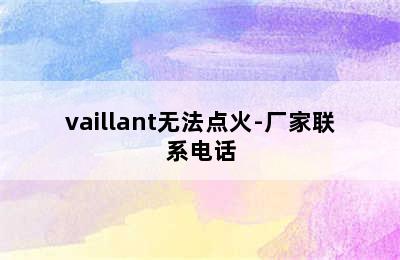 vaillant无法点火-厂家联系电话