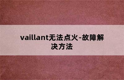 vaillant无法点火-故障解决方法