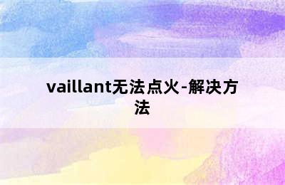 vaillant无法点火-解决方法