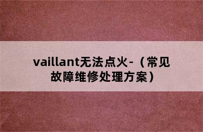 vaillant无法点火-（常见故障维修处理方案）