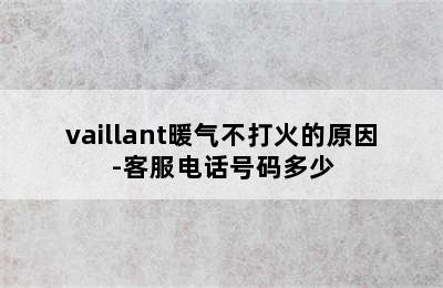 vaillant暖气不打火的原因-客服电话号码多少