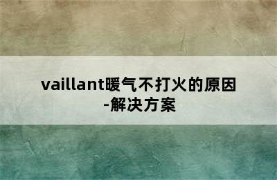 vaillant暖气不打火的原因-解决方案