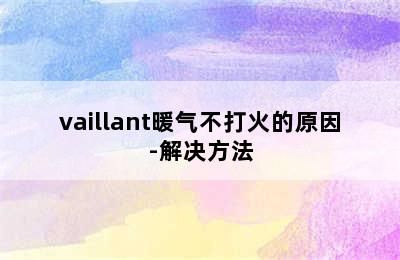 vaillant暖气不打火的原因-解决方法