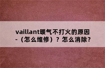 vaillant暖气不打火的原因-（怎么维修）？怎么消除？