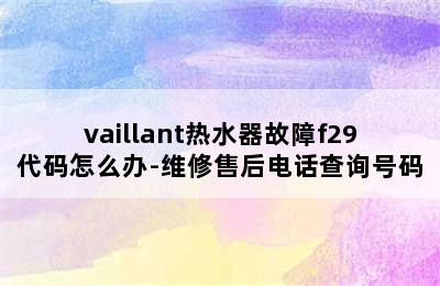 vaillant热水器故障f29代码怎么办-维修售后电话查询号码