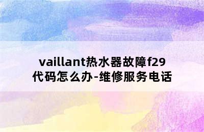 vaillant热水器故障f29代码怎么办-维修服务电话