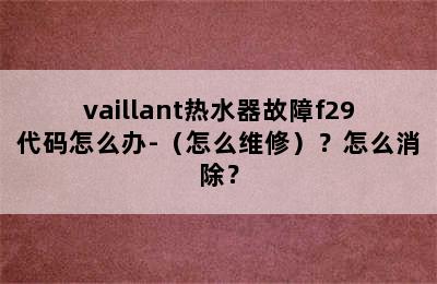 vaillant热水器故障f29代码怎么办-（怎么维修）？怎么消除？