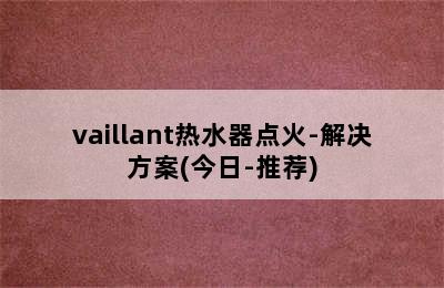 vaillant热水器点火-解决方案(今日-推荐)