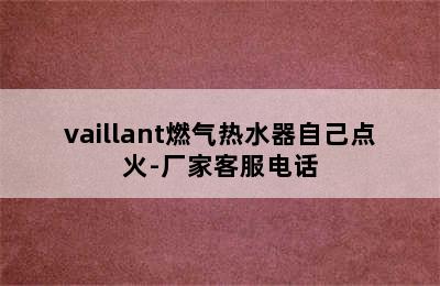 vaillant燃气热水器自己点火-厂家客服电话