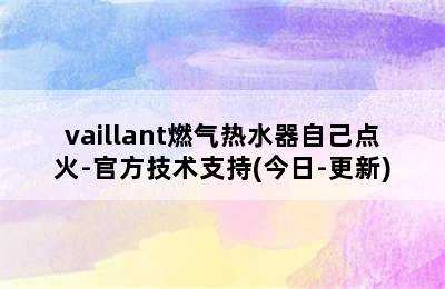 vaillant燃气热水器自己点火-官方技术支持(今日-更新)