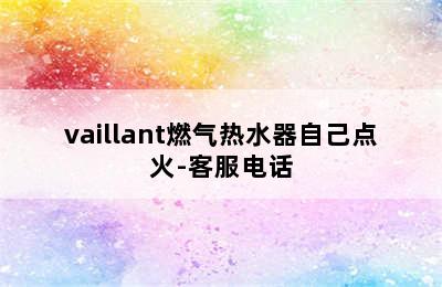 vaillant燃气热水器自己点火-客服电话